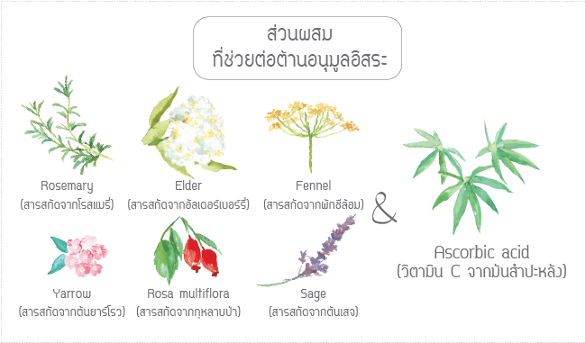 ป้องกันผมเสีย