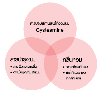 ส่วนประกอบของ cosme curl