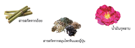 เพิ่มพลังการเคลือบเส้นผม