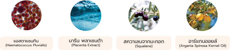 ส่วนผสมหลัก