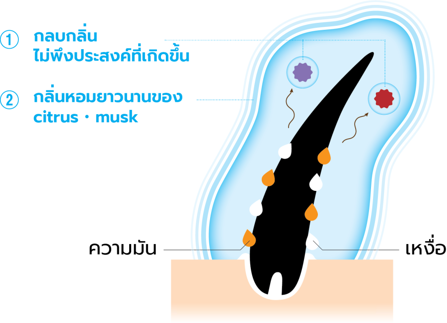 กลิ่น