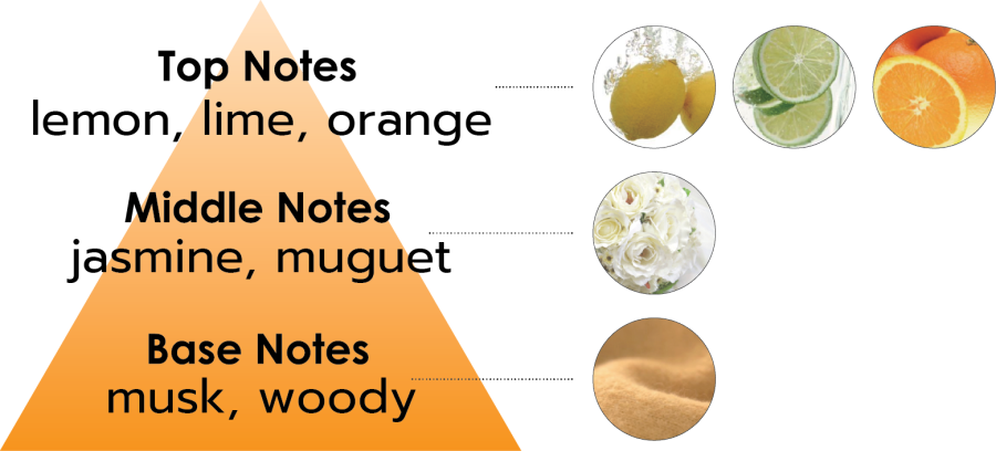 กลิ่นของ citrus•musk
