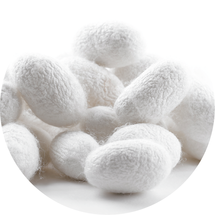 Silk PPT
