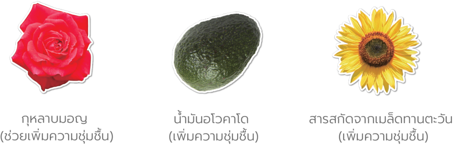 ส่วนประกอบ