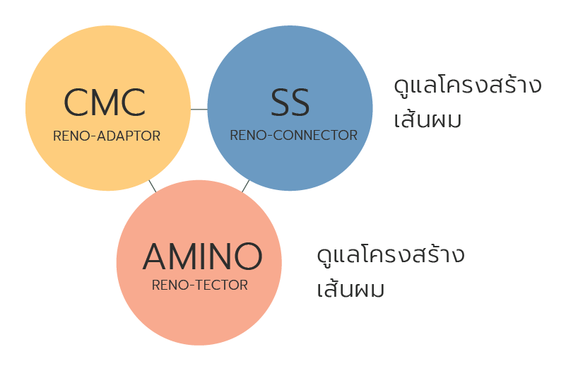 Renocare technology
