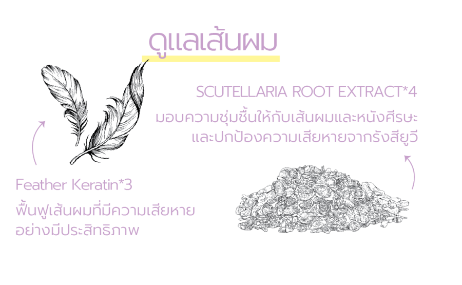 ดูแลเส้นผม